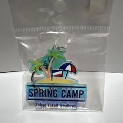 東京ヤクルトスワローズ SPRING CAMP キーホルダー
