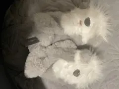 Item thumbnail for item 4caf1cba-7893-44e1-8693-f7cd408d058d