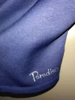 Item thumbnail for item 5a80b493-4353-4f6e-867b-f5df74a4117a