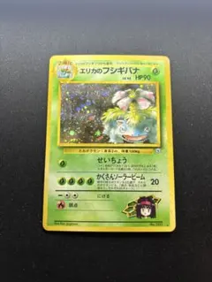 2026年最新】エリカのフシギバナの人気アイテム - メルカリ