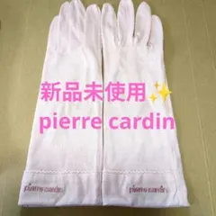 新品未使用✨️ピエールカルダン 手袋　pierre cardin　女性夏用手袋のサムネイル