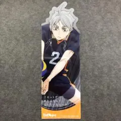 早い者勝ち！！ハイキュー‼︎ブックマークコレクション菅原孝支！！