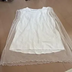 Item thumbnail for item 12033210-6dc5-4dd5-8a87-e185c7379193