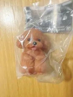 大きな光るまてぼうけ犬　トイプードル　新品未開封　ガチャ
