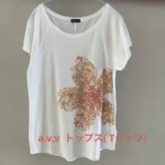 a.v.v(イトキン)半袖Tシャツのサムネイル