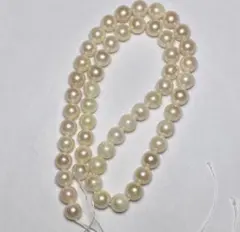 T838 あこや真珠7.5-8.0mm