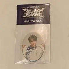 ドリショ　埼玉　ミニフォトステッカーセット