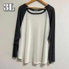 【大きいサイズ】シアートップス シアーニット ホワイト レディース 長袖3L