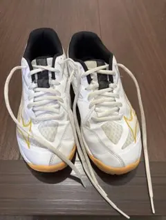 ミズノ　サンダーブレード Z 23.5