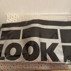 Item thumbnail for item 0350cf63-f60f-43da-a05b-8768b9e3ed1f