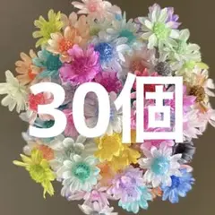 No.230 お得　スターフラワーミニ　ミックス　60個以上　ハーバリウム