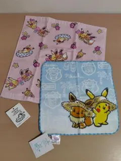 イッツデモ　ポケモン　ブイズ　フェスタオル　ハンドタオル　2点セット イッツデモ ポケモン ブイズ フェスタオル ハンドタオル 2点セット