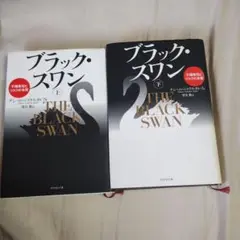洋書 文学・小説