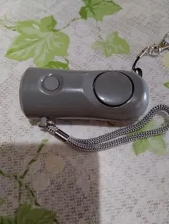 Item thumbnail for item e80a4dd7-615a-4862-b7b3-c978e786e73f