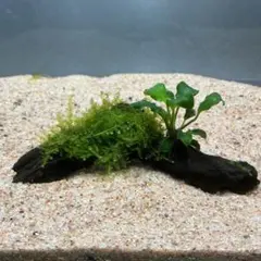 EMaMa様 リクエスト 2点 まとめ商品