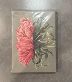 AMEFURASSHI Flora CD+Blu-ray