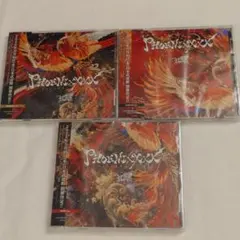 Royz PHOENIXXXX A・B・C 3タイプセット