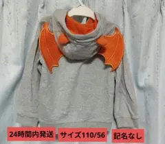 Item thumbnail for item 986c8679-27ec-4738-b7d0-8f8d113c9218