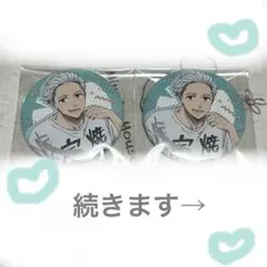 ウィンブレ WINDBREAKER 缶バッジ 杉下京太郎 梅宮一 3点セット