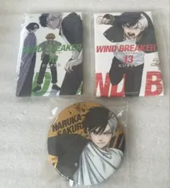 WIND BREAKER ウィンブレ展 グリッター缶バッジ マグネット 桜