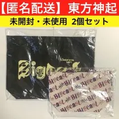 東方神起【未使用・未開封】Biggestテイクアウトバック、ミニトートバック