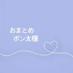 ポン太様 リクエスト 2点 まとめ商品