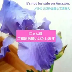 ジャーマンアイリス ラベンダーカラー 2株 - メルカリ