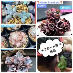 フヨード様 リクエスト 4点 まとめ商品