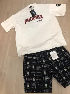 Item thumbnail for item aaa99b45-2d7f-4681-94f9-7dad6a9bc963