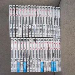 全巻セット】新撰組鎮魂歌/ちるらん 全36巻(完結) - メルカリ