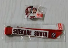 広島東洋カープ　末包昇大 缶バッジ & ボンフィンキーホルダー セット