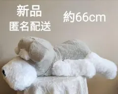 シュナとボブねそべリぬいぐるみ　新品　未使用