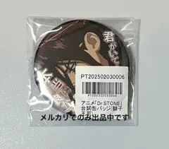 Dr.STONE ドクターストーン　缶バッジ　獅子王 司　アニメイト　ポイント