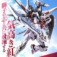 新品 METAL BUILDストライクルージュオオトリ装備