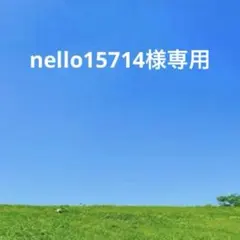 未使用　希少　DIESEL レザー長財布　濃茶　ダークブラウン　アンティーク加工