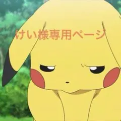 けい様専用ページ