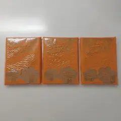 しゅごキャラ！ あむちゃんサマーアクキー 3個セット