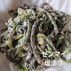 天然ゼンマイの塩漬けのサムネイル