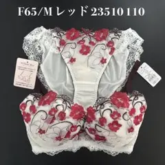 レッド　F65/M ナルエー　ブラショーツセット　23510 110のサムネイル