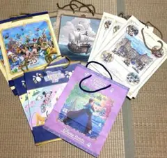 【匿名配送】ディズニーホテル　宿泊者限定　紙袋　10枚セット