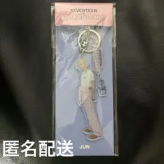 carat land ジュン アクキー