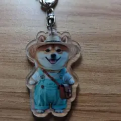 新品未使用で可愛い柴犬 アクリルキーホルダー 麦わら帽子