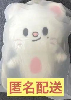 SKZOO Jiniret ぬいぐるみ バックパック セット - メルカリ