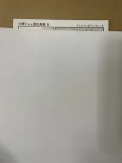 中原くんと宮田部長 6 アニメイト特典リーフレットのみ