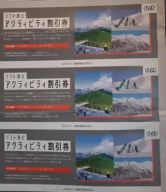 最新☆ 日本駐車場開発 リフト・アクティビティ割引券3枚