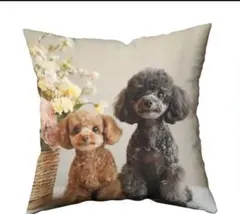 Item thumbnail for item bc2a1f35-43ca-4050-a000-b4ef92e25c38