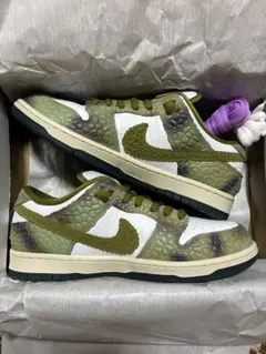 Nike Dunk SB カメレオン