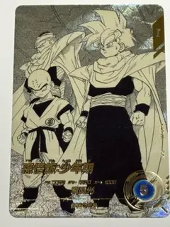 ドラゴンボール アドバンスパック　パラレル　孫悟飯　少年期　APT-008