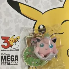 韓国 シークレットフォレスト限定 MEGA FESTA 2026　パチリス 韓国 シークレットフォレスト限定 MEGA FESTA 2026 パチリス - メルカリ
