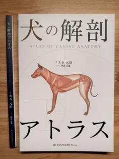 2026年最新】犬の解剖アトラスの人気アイテム - メルカリ